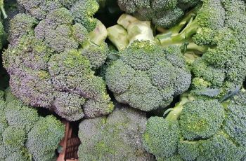 Broccoli saisonal und regional kaufen.